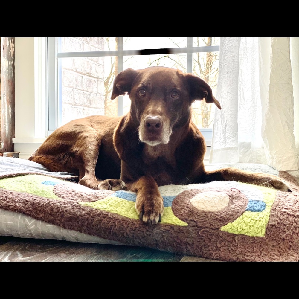 Meet your Posher, Brianne